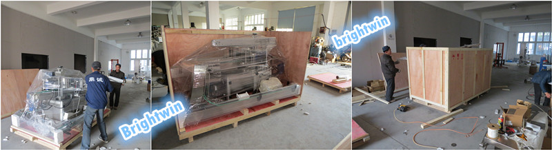 factory price automatic canned mushroom packaging machine