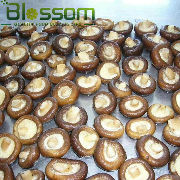 Top quality frozen shiitake mushroom names all mushrooms