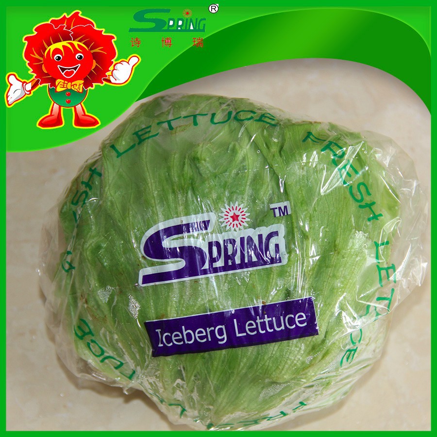 new 2015 yunnan organic iceberg lettuce