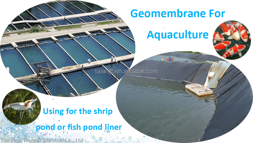 1MM HDPE Impermeable Geomembrane For Black Industrial Pond Liner, View