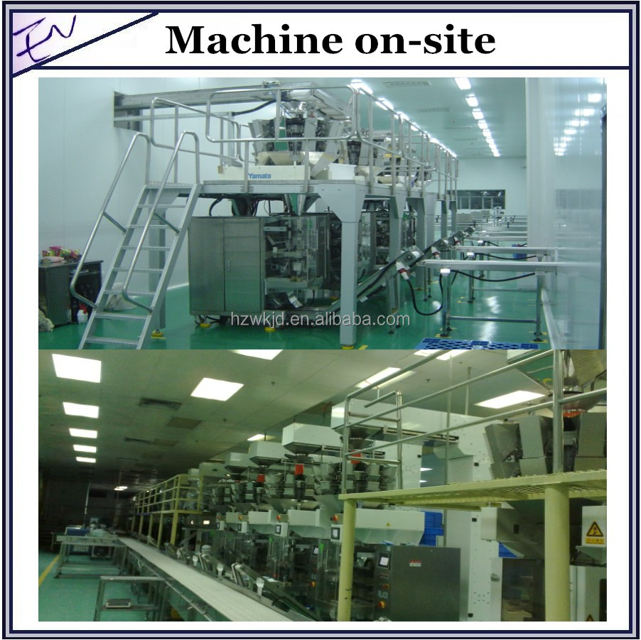 Full automatic form fill seal cocoa powder pouch packing machine