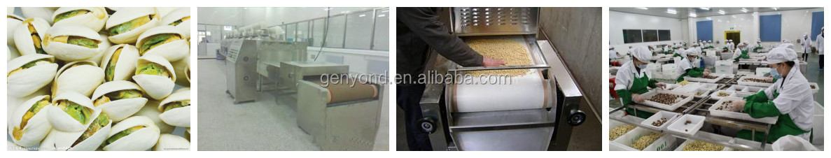 Automatic Pistachio processing machine / pistachio production line