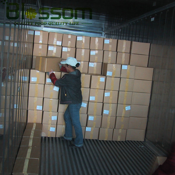 China top quality frozen green bean new crop names all fruit vegetables