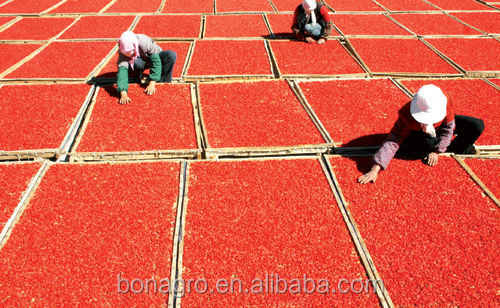 NingXia Goji Berry Dried 100%sweet fresh