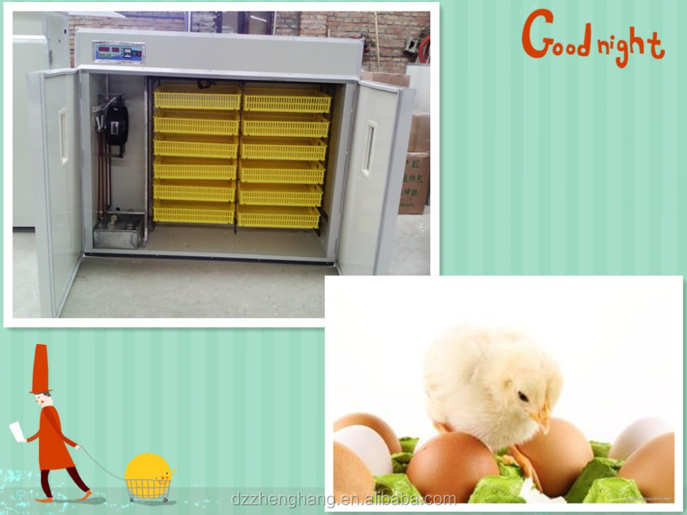  Incubator Spare Parts,Egg Incubator In Uae,Make Chicken Egg Incubator