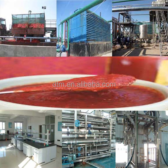 tomato paste best price with drum packing