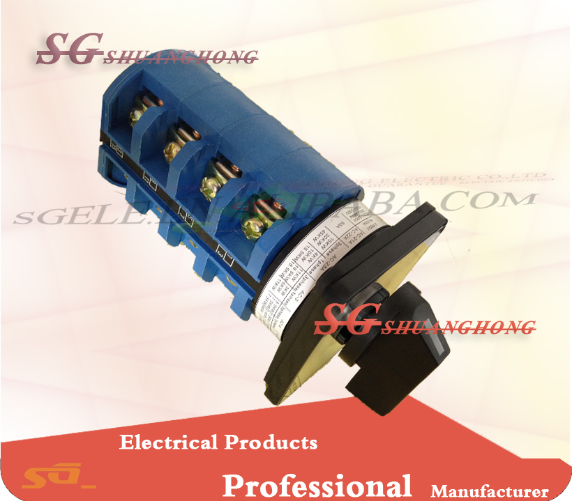 lw26-cam switch 63a.jpg