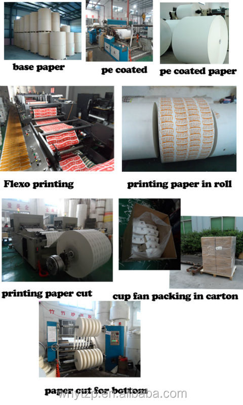 Manufaturer pe coated paper rolls