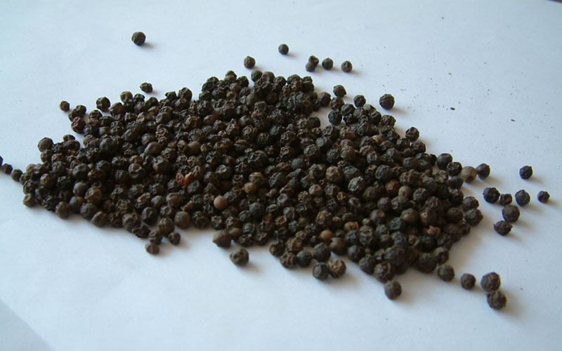 piperine extract /piperine pepper extract powder / pure piperine