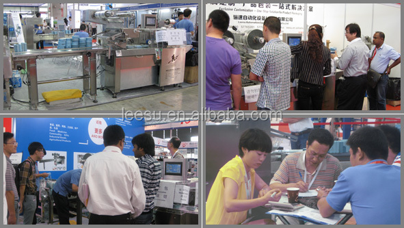 SGM080-3A-P/T Horizontal Flow Automatic Pillow Chocolate Bar Packing Machine