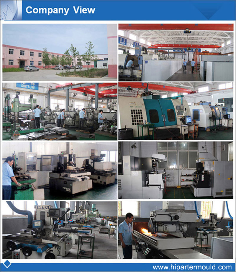Company View 2.jpg
