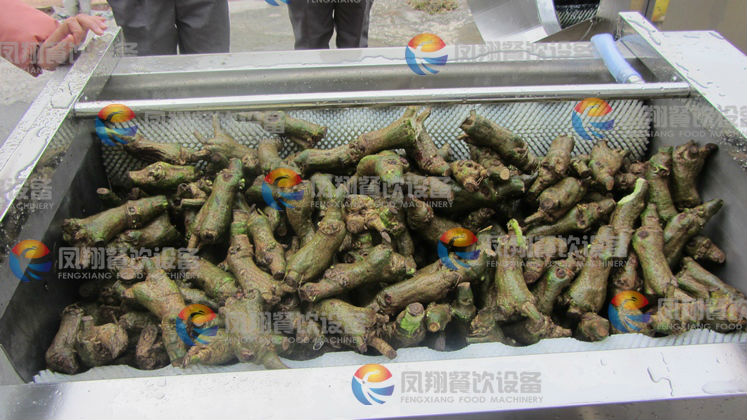 CE Approved MSTP-80 potato peeling machine ,commercial potato peeler ,onion peeling machine SKYPE: feng9915)