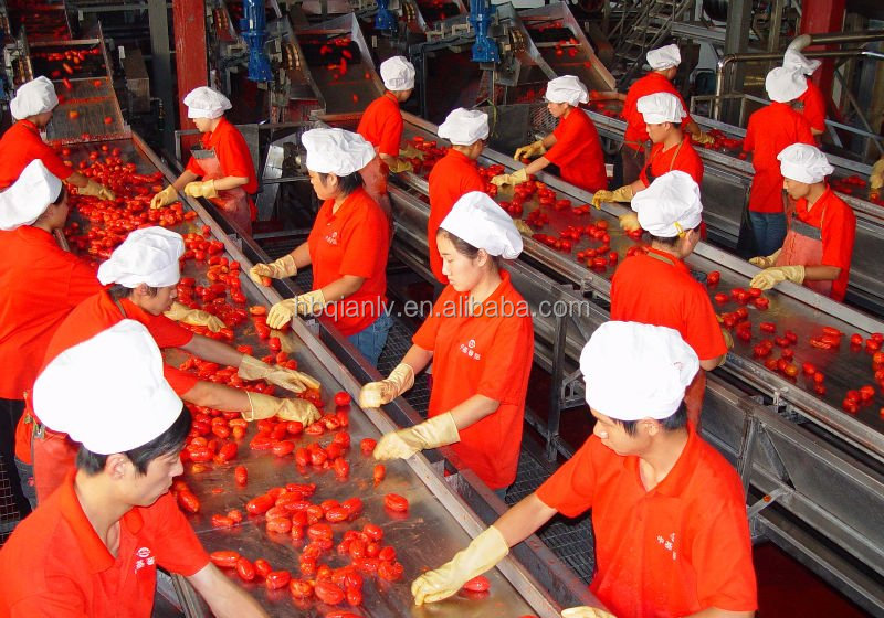 bulk tomato paste /ketchup/tomato sauce in drum