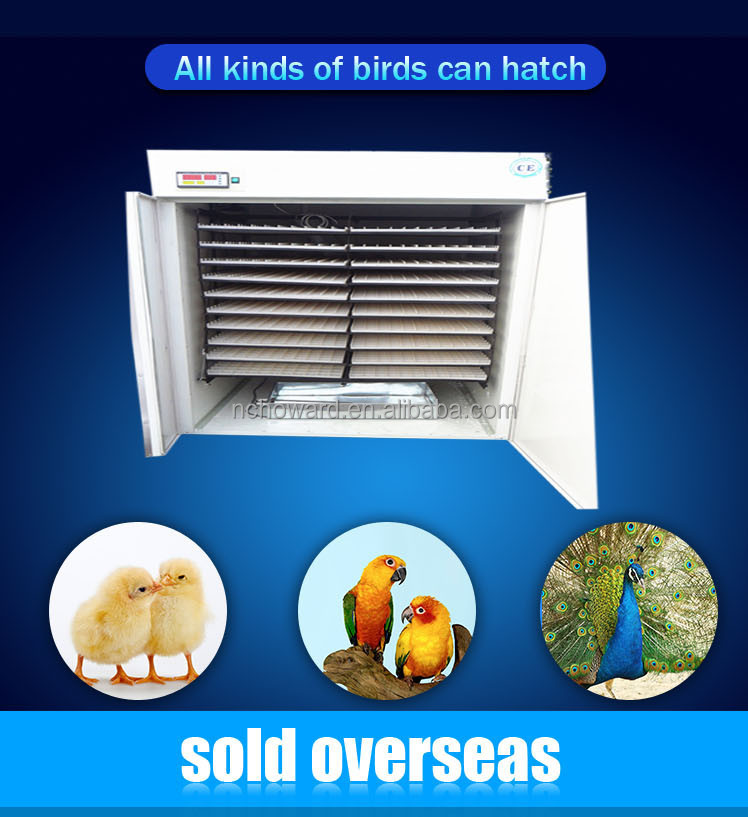 2015 Focus industry large capacity automatic Chicken egg incubator price YZITE-20