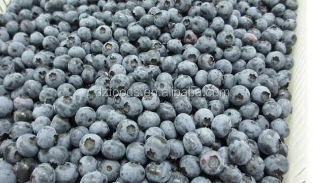 blueberry sorting machine