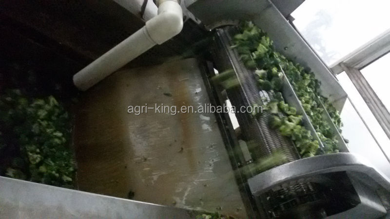 2014 new high quality iqf broccoli & frozen broccoli