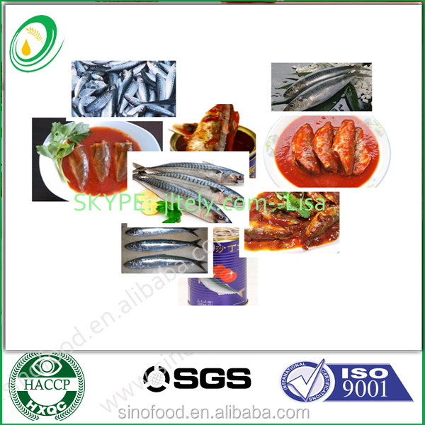 canned virtualvisit in tomato suuce 425 g from China with factory price