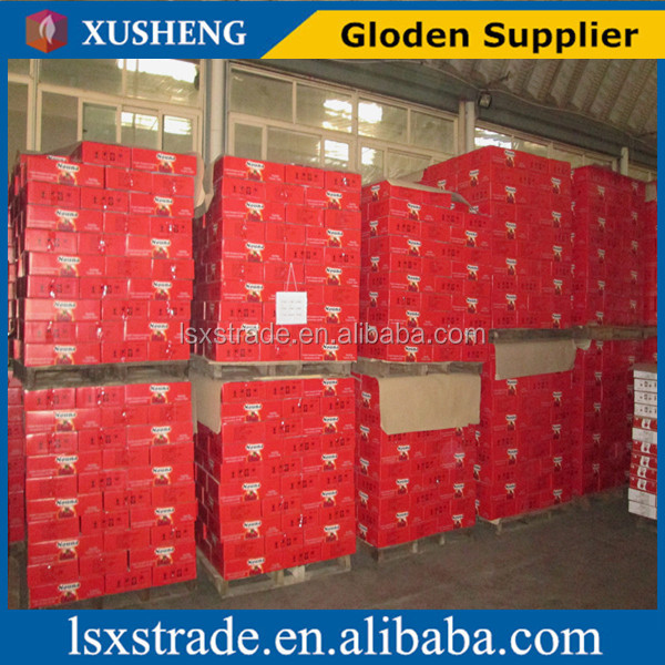 Light red tomato paste hot sell good price (B)