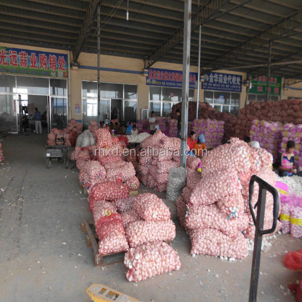 2014 natural garlic price wholesale garlic