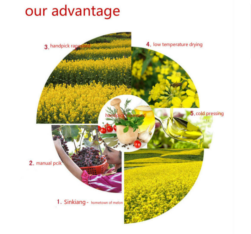 RBD Non-GMO Rapeseed Oil for Cooking