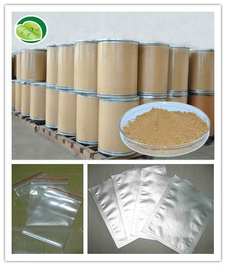 Tea polyphenol instant green tea extract powder
