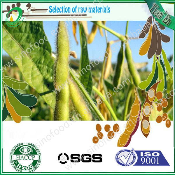 soya bean oil extraction