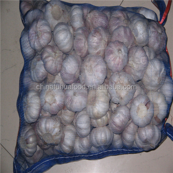 Fresh Garlic 20kg/mesh Bag
