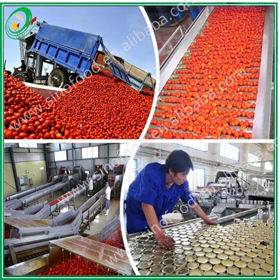 canned tomato paste 800g with easy open lid