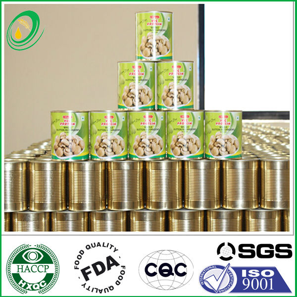 Salty slice canned mushroom in wholesale price