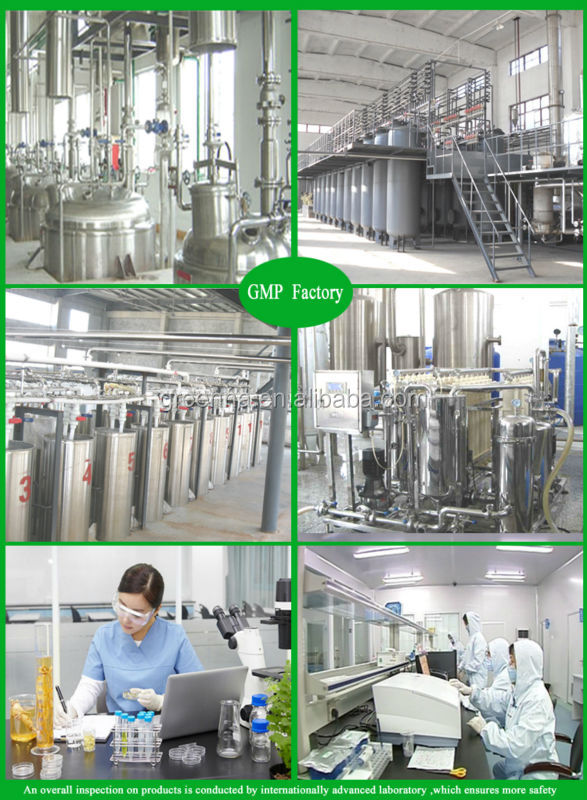 Green Tea Extract powder