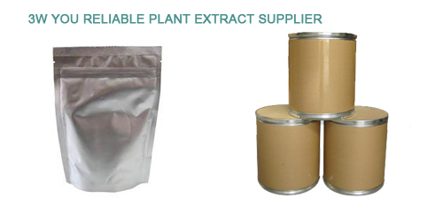 high quality 4:1 10:1 codonopsis P.E / codonopsis pilosula extract
