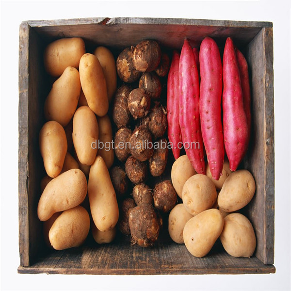 fresh potato price per ton/competitive potato price