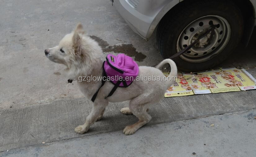 Dog BackPack.jpg