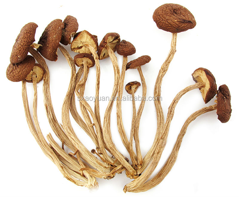 Top Quality Soybean Extract Soy Isoflavone