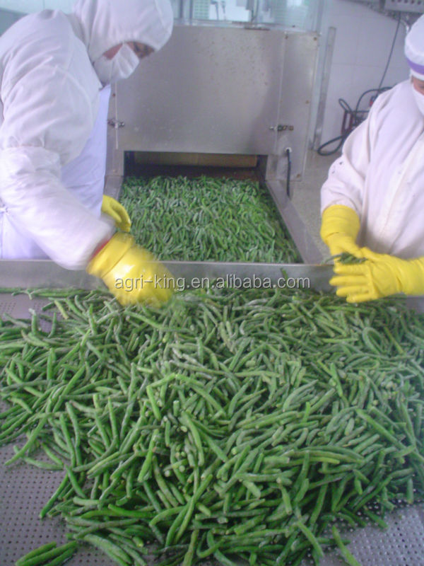 Agri-King iqf green beans