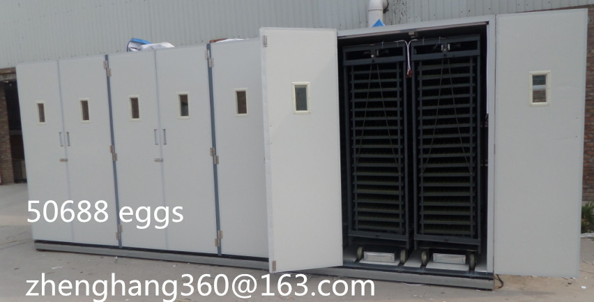 CE approved high quality 50688 eggs large capacity laboratory incubator