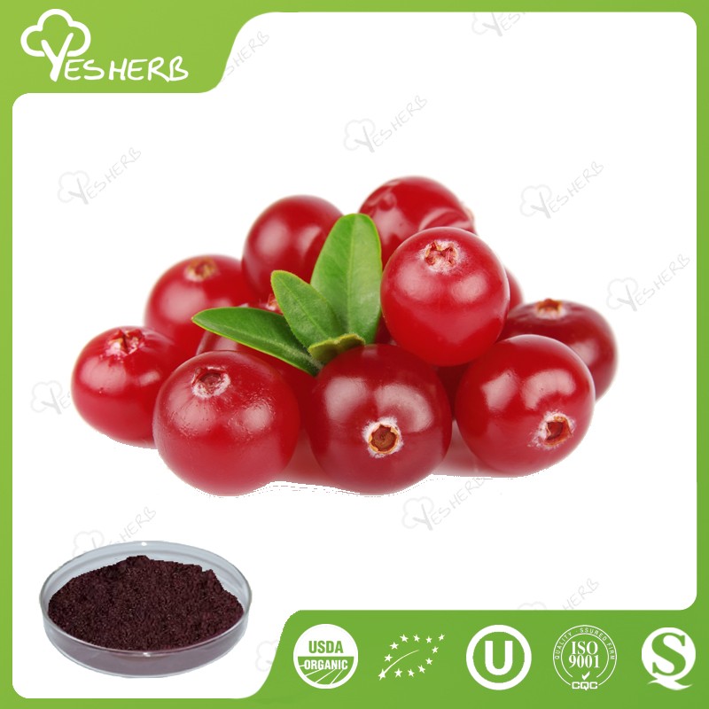 Factory Organic Cranberry Juice Powder In Bulk Buy Cranberry Powder