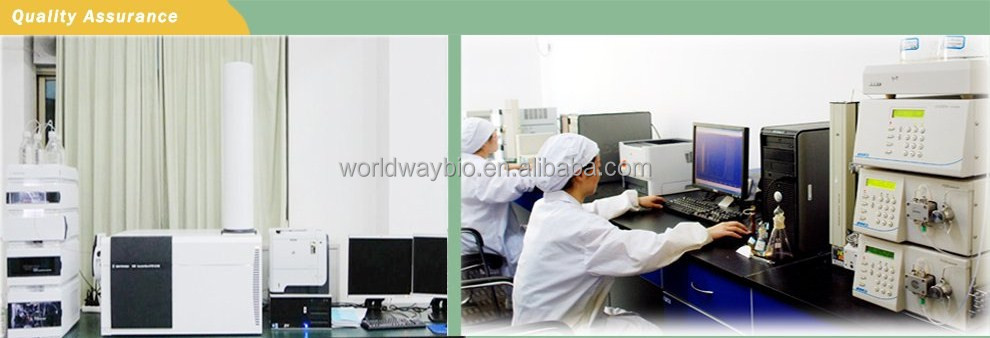 Cocoa extract GMP KOSHER HACCP China manufacturer supply pure natural cocoa polyphenol cocoa seeds extract