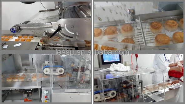 SGM080-3A-P/T Horizontal Flow Automatic Pillow Chocolate Bar Packing Machine