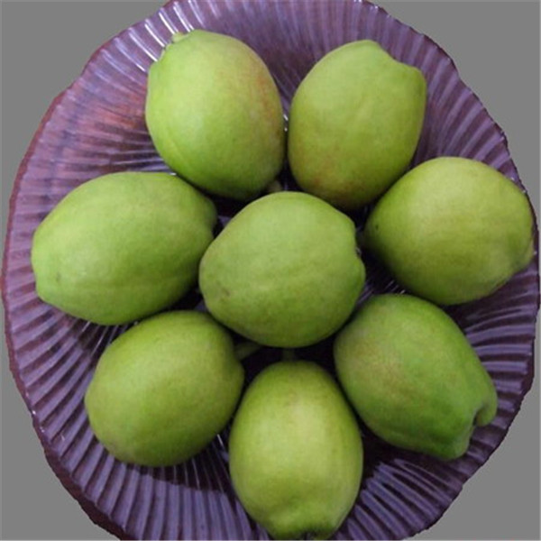 Ya Pear