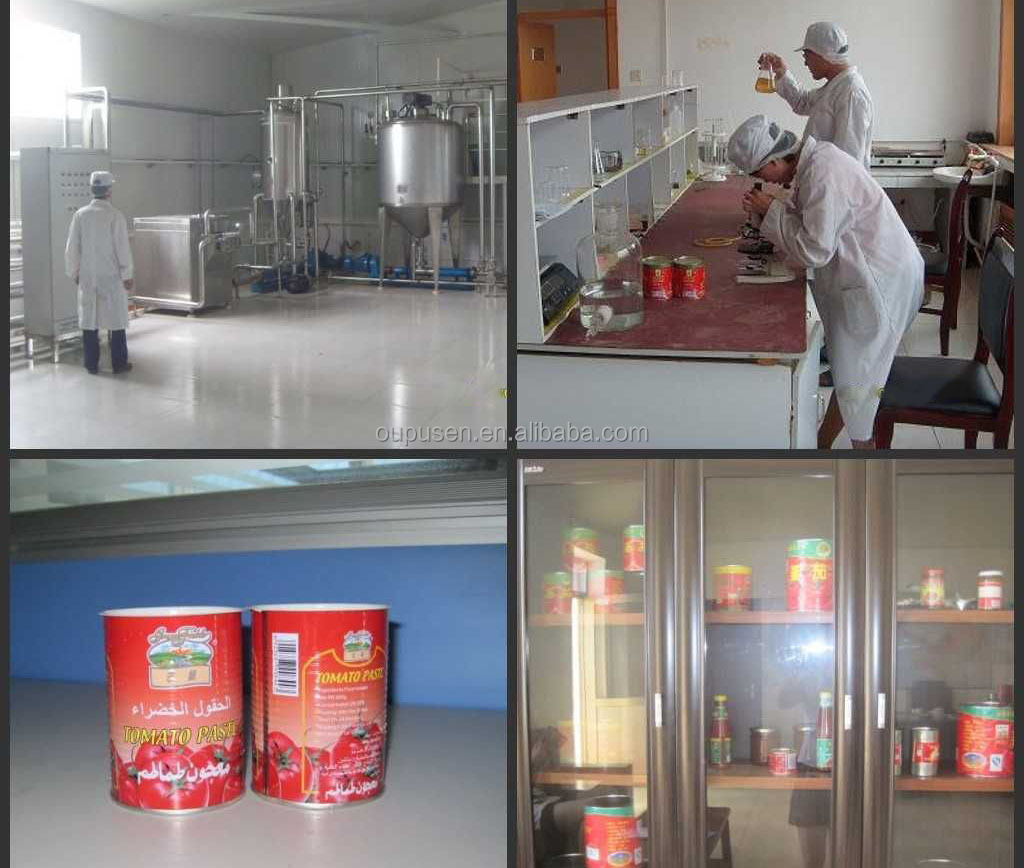 2014 High Quality Tomato Paste Best Tomato Paste