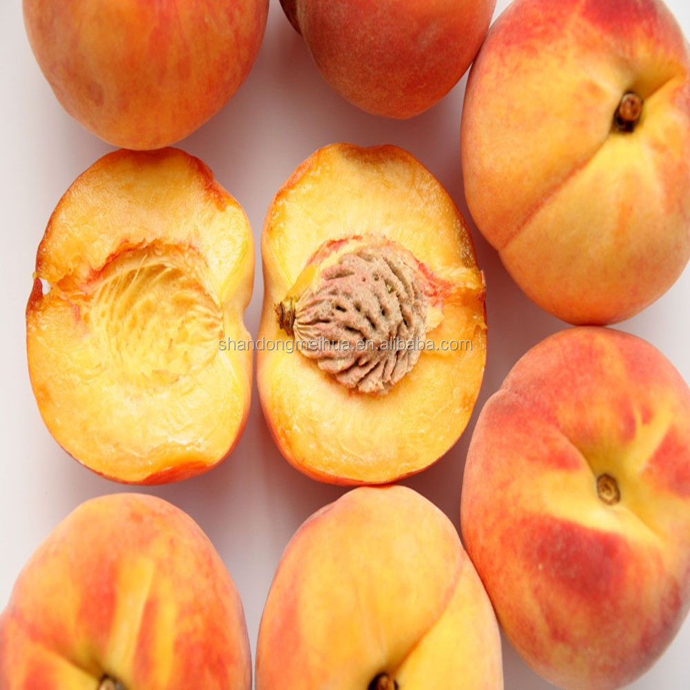  10 Irresistible Gluten Free Peach Recipes for Summer Delights