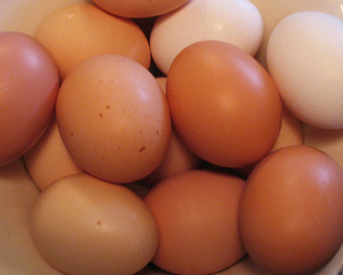 Farm Fresh chicken egg white and brown size : 40g-50g-60g-65g-70g