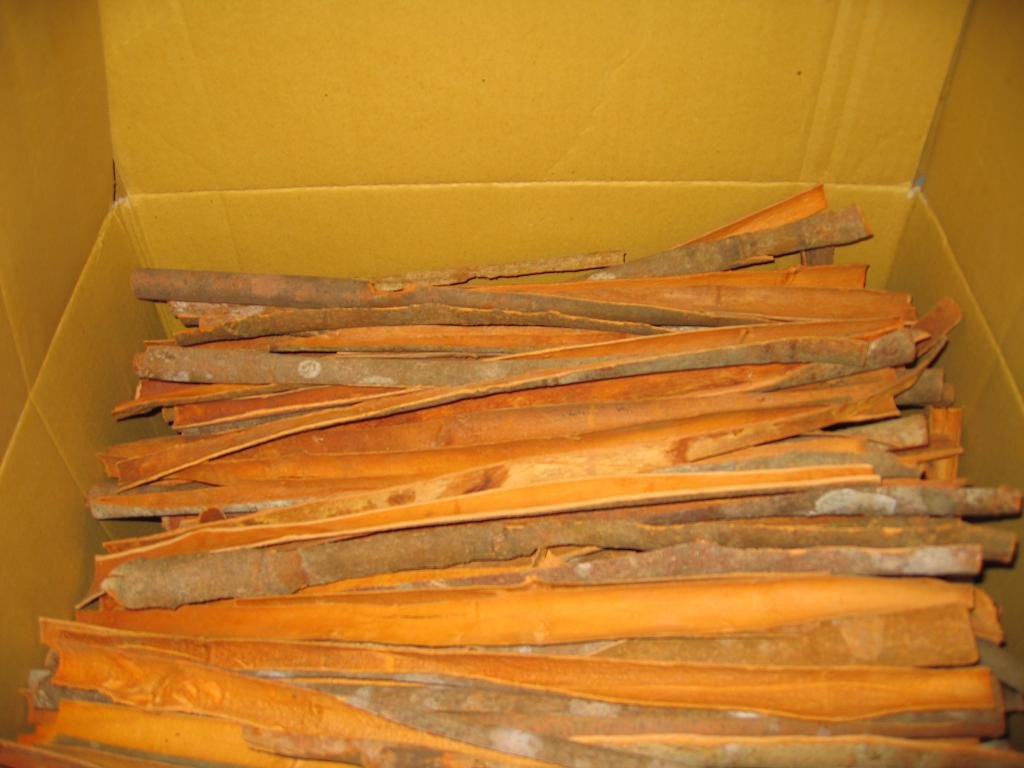 Vietnam split cassia for new crop 2014 best quality