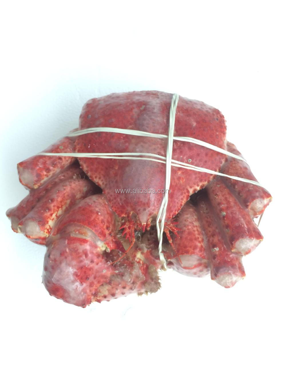 Lucky Red Snow Crab glase.JPG