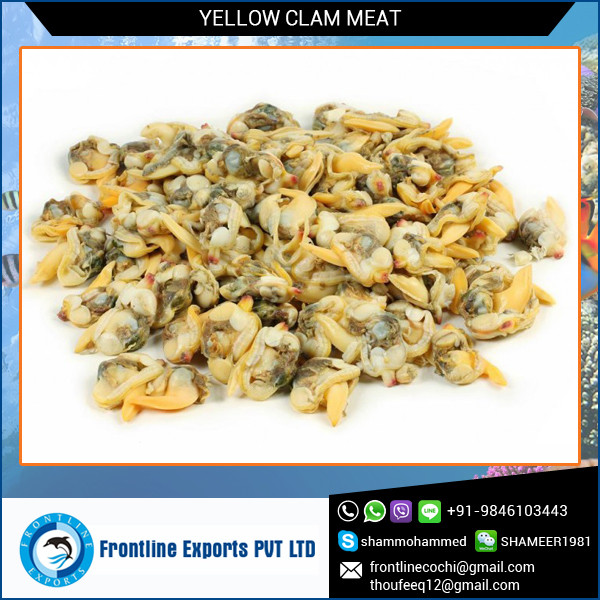 frozen yellow clam meat