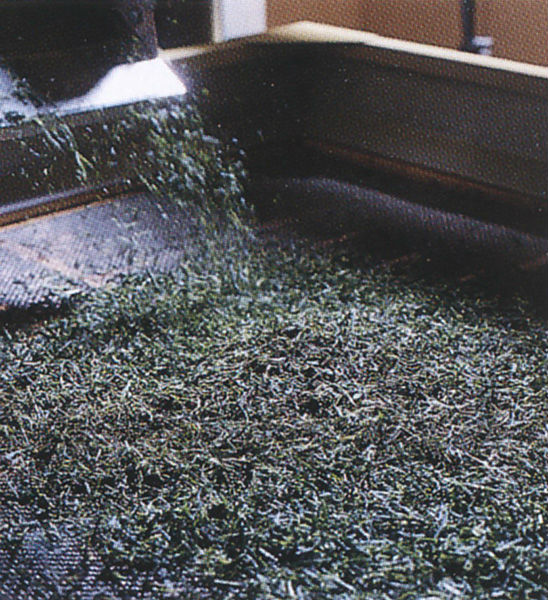 Japanese handmade brand names tea matcha for wholesale