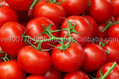 TOMATO PASTE PROCESSING PLANT