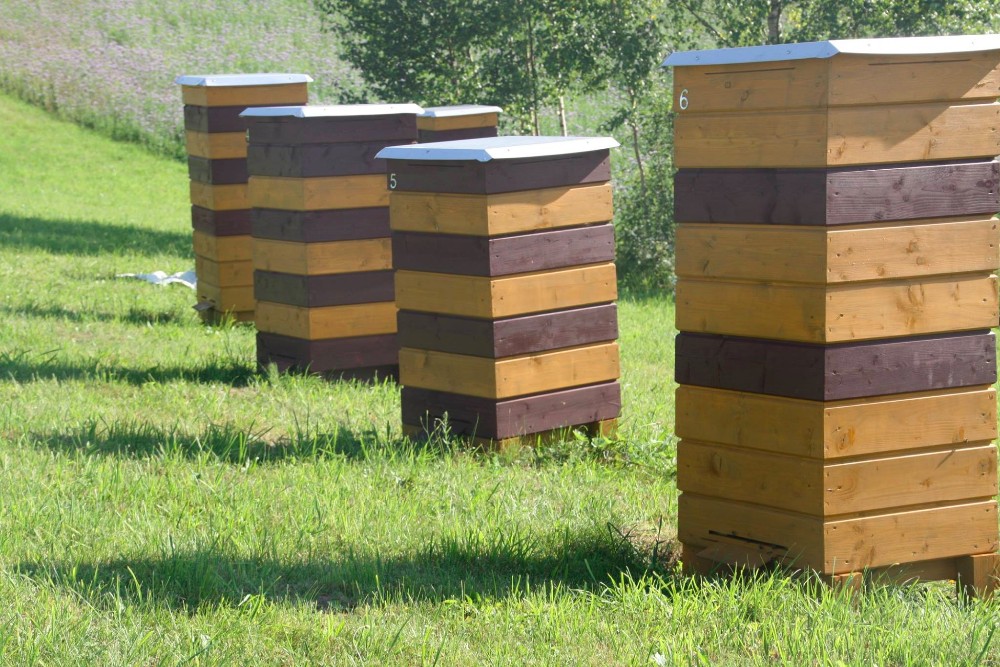 Bee Hives Double Wall Profesional Beekeeping 1 Brood 4 Supers 50 Frames