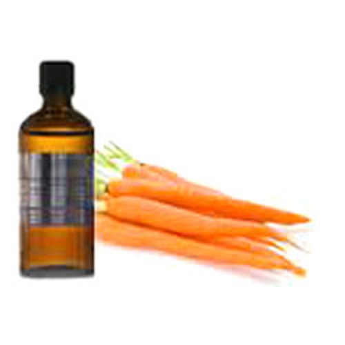 100 Pure And Natural Carrot Essential Oil Buy Pure And Natural